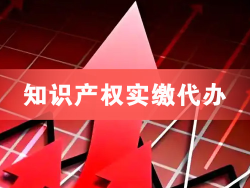 舟山知识产权实缴资本代办